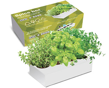 La caja de las hierbas aromticas