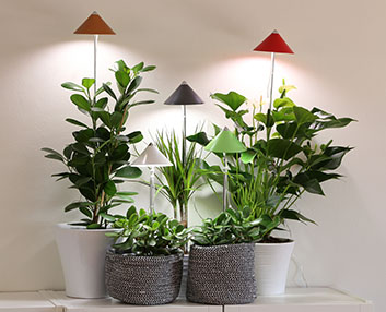 Luz de leds con soporte telescpico para las plantas 