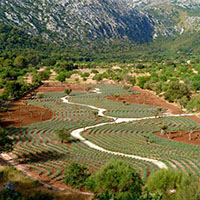 Un jardn en Mallorca