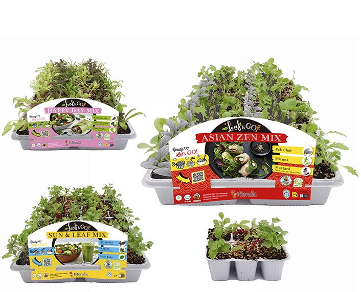 Hojas baby gourmet listas para cortar y consumir 