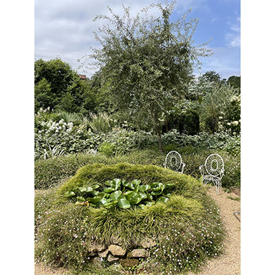 Una gran diversidad de hábitats