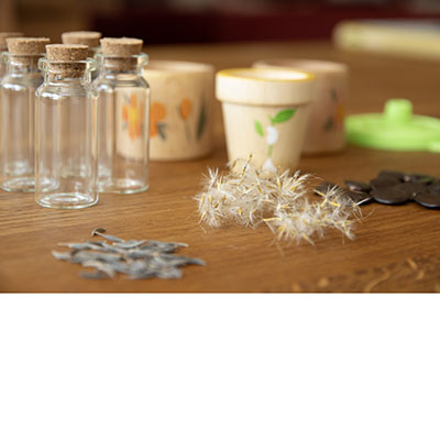 Botecitos de cristal para guardar las semillas