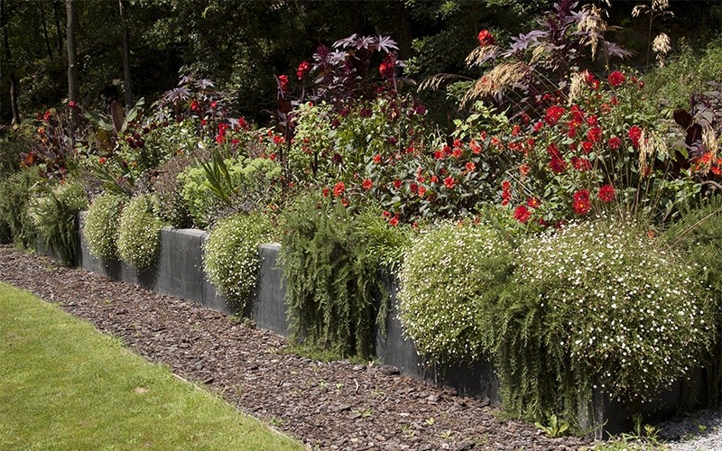 Introducir el rojo en el jardín: el más difícil todavía