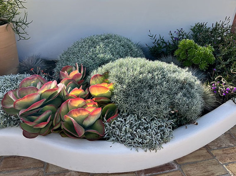 Macetas para exteriores e interiores - contenedores para plantas, macetas  en color blanco, tipo panal